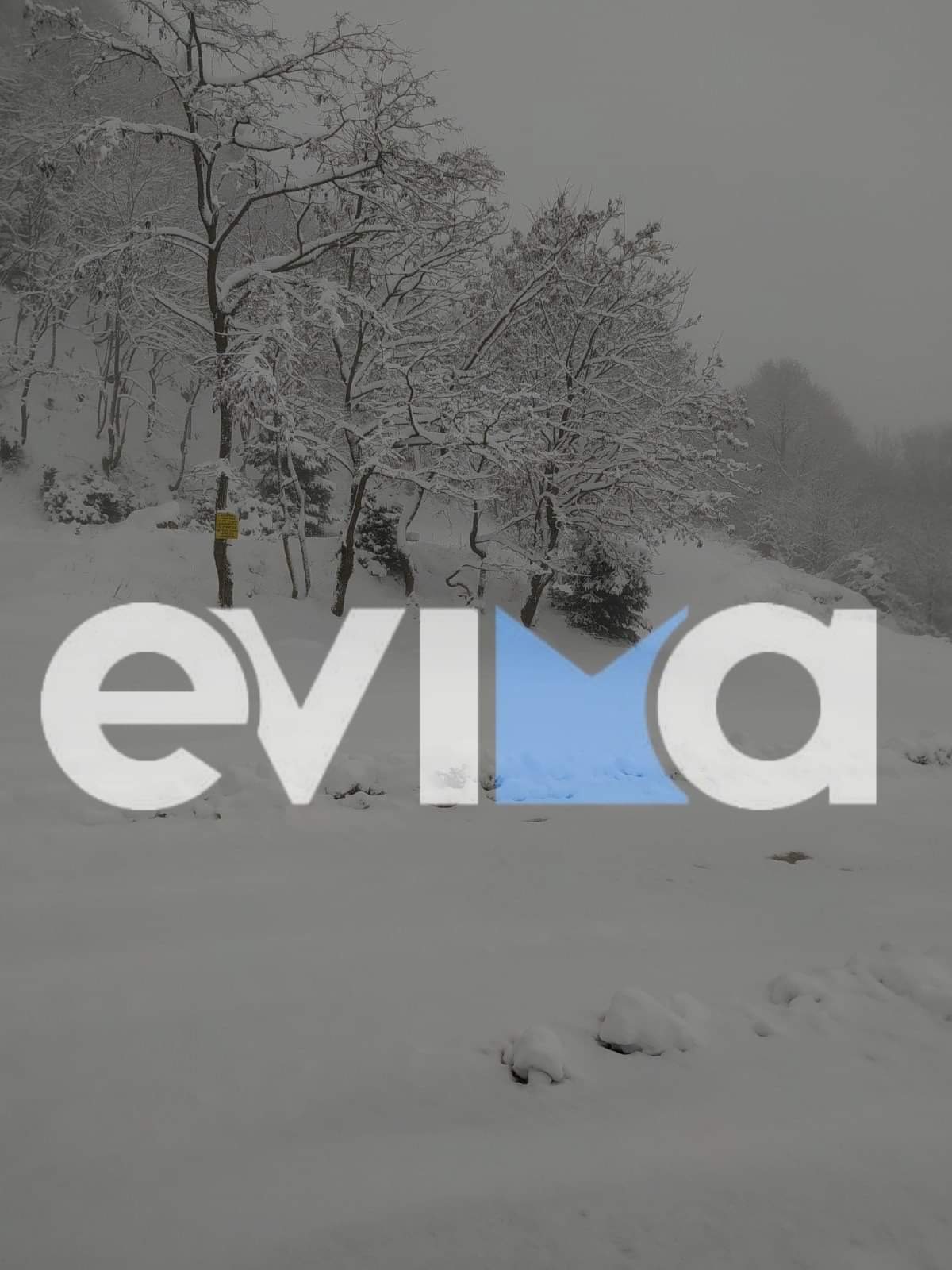 Εύβοια Κακοκαιρία «Λέανδρος»: Πυκνό χιόνι πέφτει στην Άνω Στενή – Στους δρόμους τα εκχιονιστικά [εικόνες]