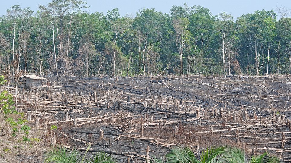 Δραματική πρόβλεψη για τον Αμαζόνιο: Το τροπικό δάσος κινδυνεύει να μετατραπεί σε σαβάνα έως το 2064!
