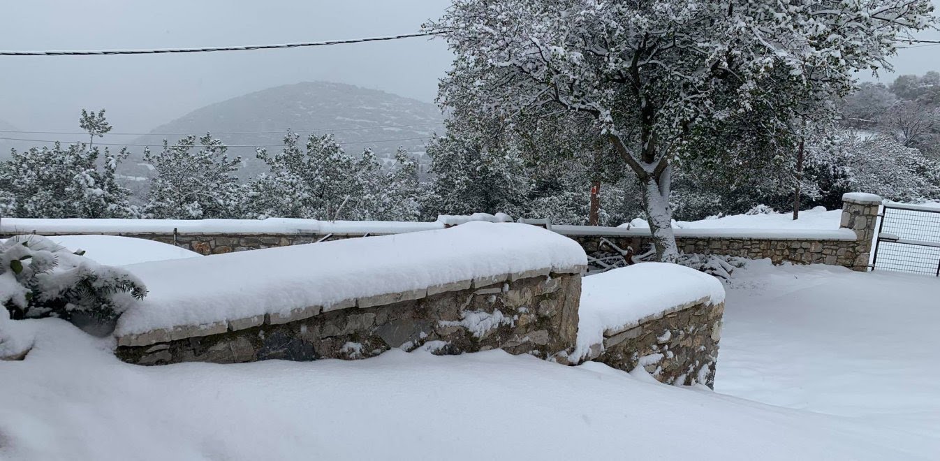 Κακοκαιρία Λέανδρος: Κλειστά σχολεία στις 19 Ιανουαρίου και στο Δήμο Κύμης Αλιβερίου