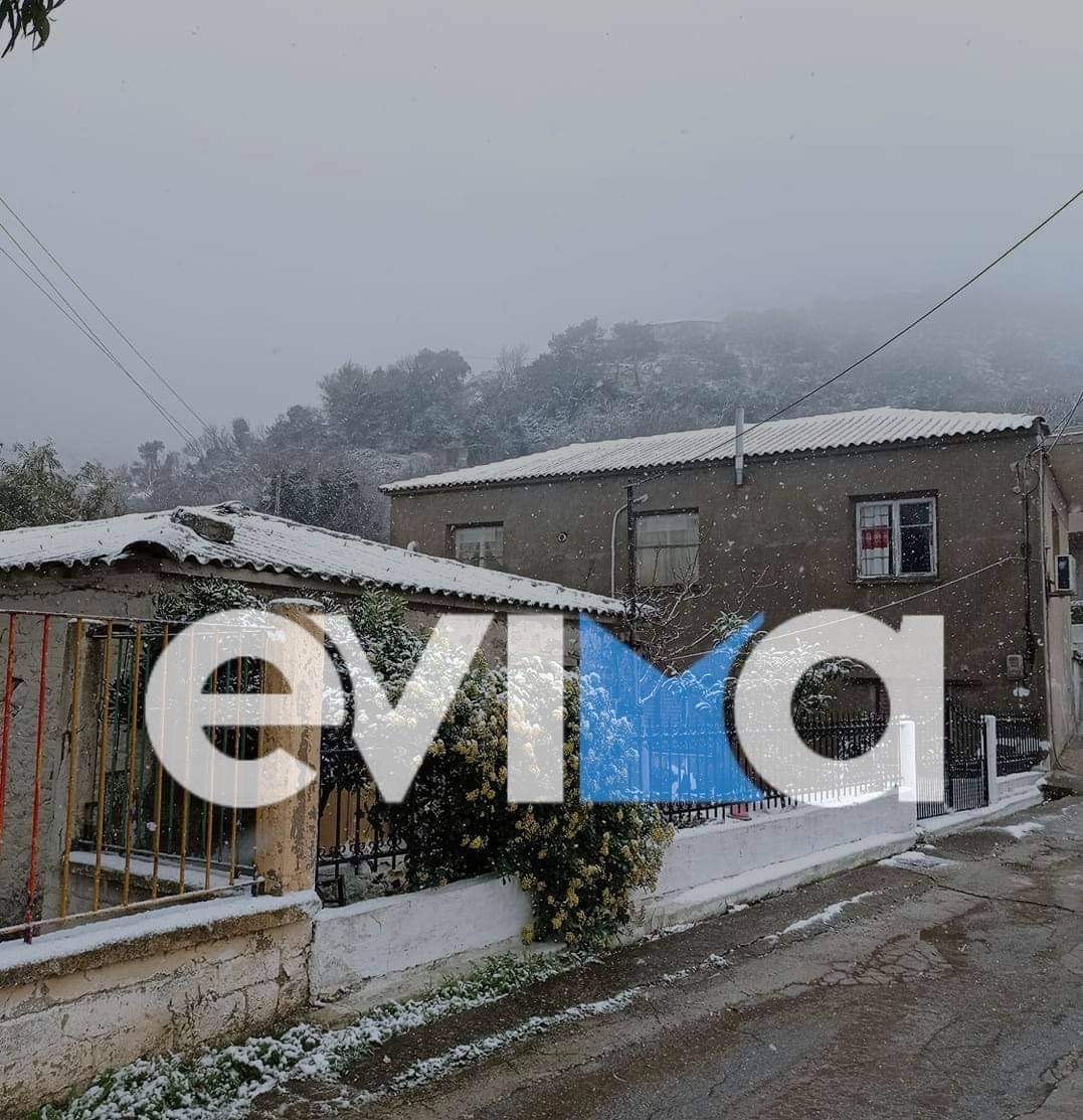 Εύβοια: Σε «λευκό κλοιό» η Οκτωνιά – Χιονίζει μέσα στο χωριό [βίντεο και εικόνες]