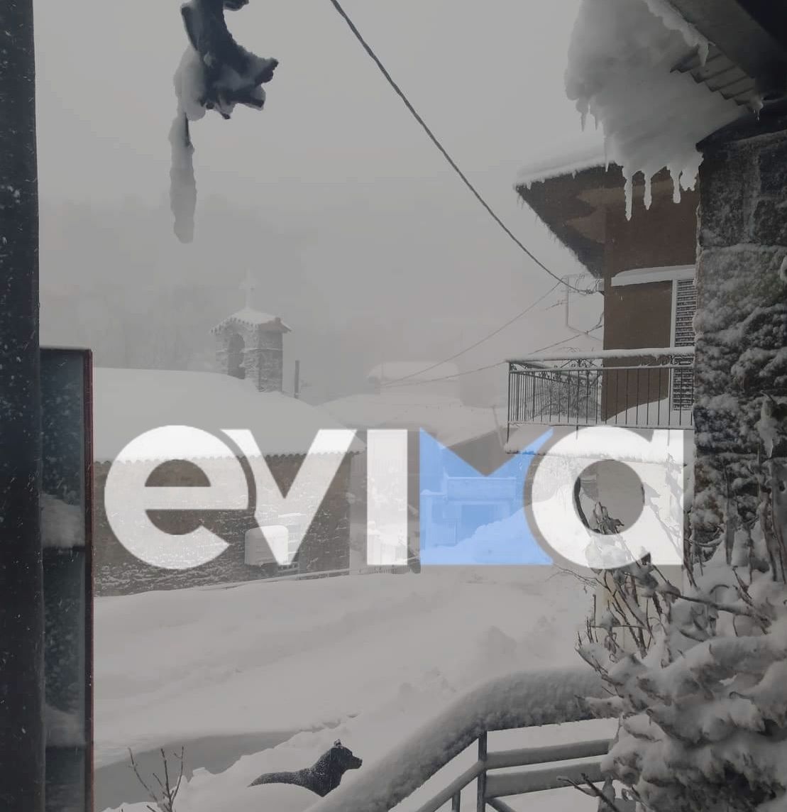 Εύβοια – Κακοκαιρία «Λέανδρος» ΤΩΡΑ: Χιονίζει από Ιστιαία μέχρι Αλιβέρι – Με αλυσίδες στον Άγιο