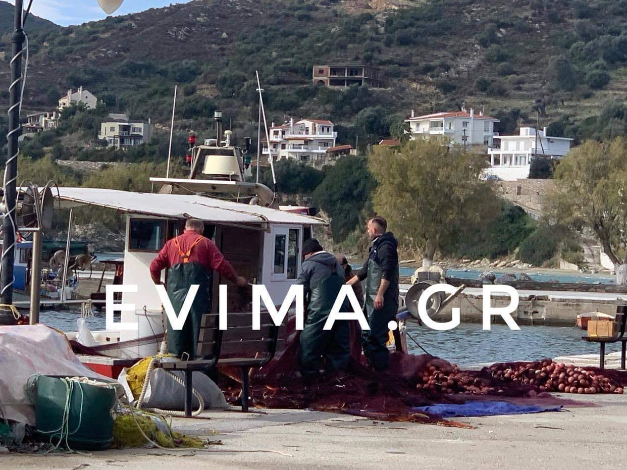 Το evima.gr στο ψαροχώρι των Αγ. Αποστόλων Εύβοιας – Τι είπαν οι ψαράδες για την απαγόρευση της ερασιτεχνικής αλιείας – Εικόνες και Βίντεο