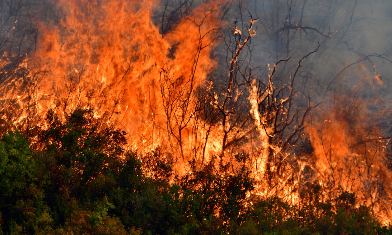 Πυρκαγιά στο Ζαπάντι Κριεζών Ευβοίας