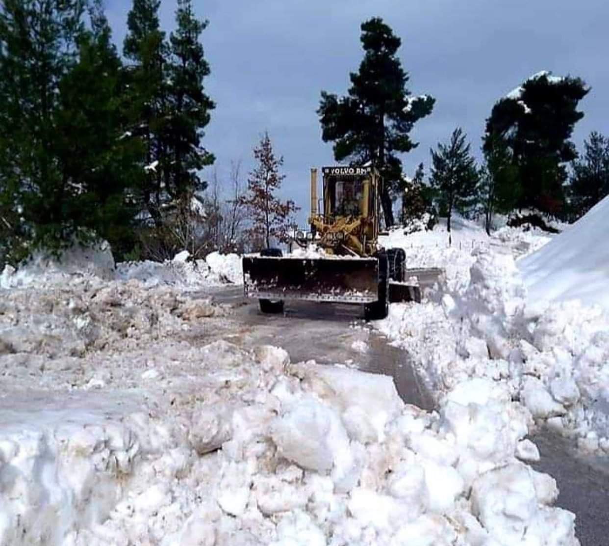 Β. Εύβοια: Σε επιφυλακή τα μηχανήματα του Δήμου Ιστιαίας Αιδηψού – Χιονίζει στην Κοκκινομηλιά