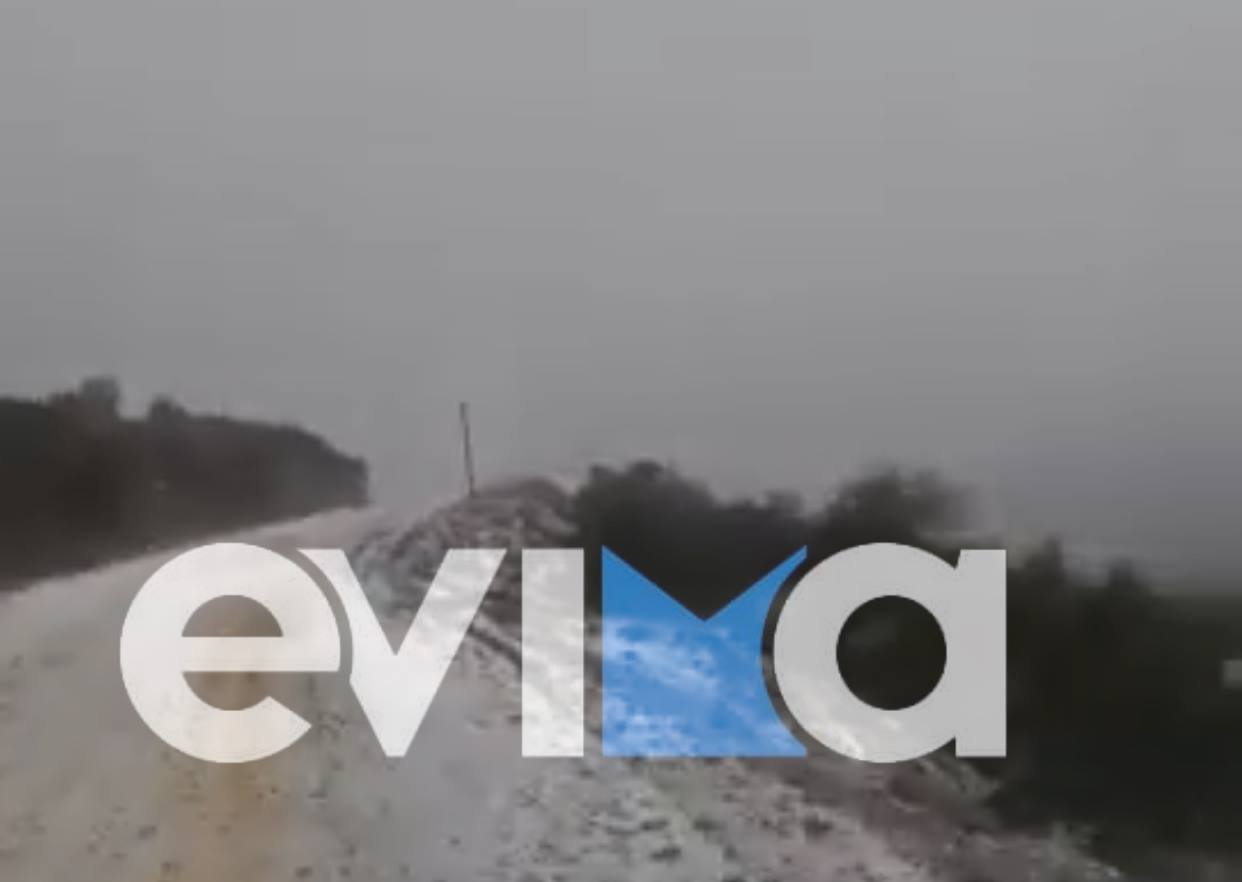 Κακοκαιρία «Λέανδρος»:  Έπεσαν τα πρώτα χιόνια στην Εύβοια – Δείτε που [βίντεο]