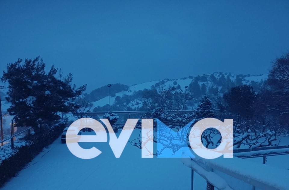 Εύβοια – Κακοκαιρία «Λέανδρος»: ΤΩΡΑ πυκνή χιονόπτωση στη Σέτα – Εικόνες και βίντεο