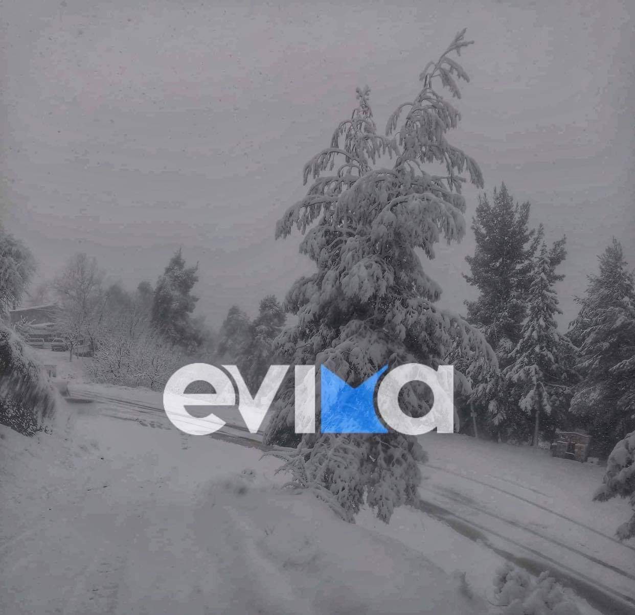 Κακοκαιρία – Εύβοια – ΤΩΡΑ: Πυκνή χιονόπτωση στον Όσιο Δαυίδ [εικόνες]