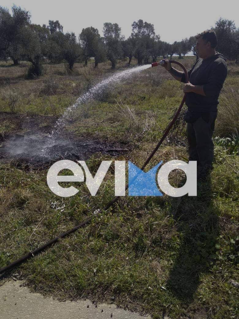 Ερέτρια: Φωτιά στην είσοδο της πόλης [εικόνες]