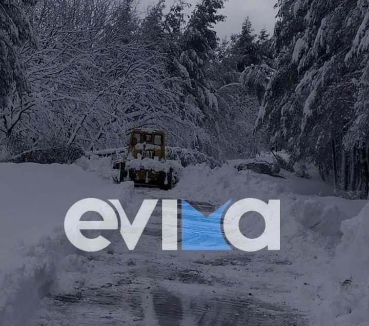 Μιμίκου: Τις πταίει; βασανίζει το ερώτημα κάθε φορά, για κάθε καταστροφή, ζημιά, κρίση, θάνατο