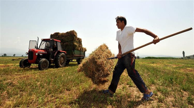 Ενίσχυση 1.500 ευρώ στους αγρότες για συμβουλευτική υποστήριξη από γεωτεχνικούς – Ποιες δαπάνες θα επιδοτούνται
