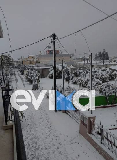 Κακοκαιρία «Μήδεια»: ΜΕΓΑΛΗ ΠΡΟΣΟΧΗ!!! Καλώδιο από υψηλή τάση έχει κοπεί και κρέμεται στο δρόμο στον Φάρο Αυλίδας