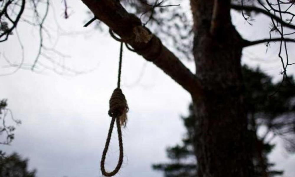 Εύβοια: Εντοπίστηκε πτώμα άνδρα κρεμασμένο σε δέντρο στη Δροσιά Χαλκίδας