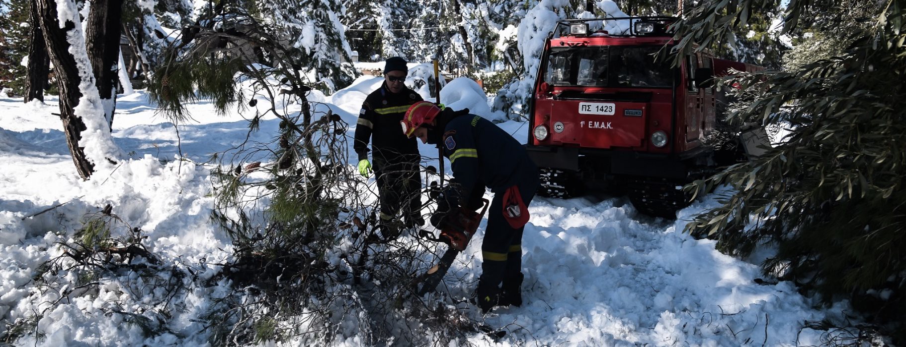 Εύβοια: Άνδρας έχασε την ζωή του στις Κεχριές – Καταπλακώθηκε από δέντρο