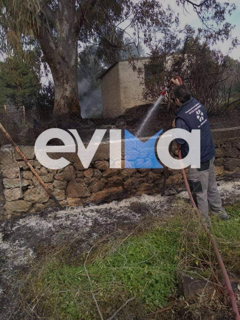 Εύβοια: Φωτιά στο Μαλακώντα Ερέτριας [εικόνες]