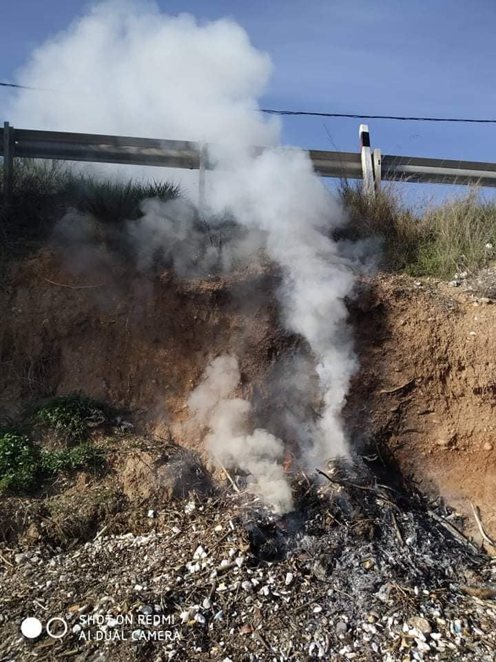 Εύβοια: Φωτιά δίπλα στο δρόμο προς Αμάρυνθο [εικόνες]