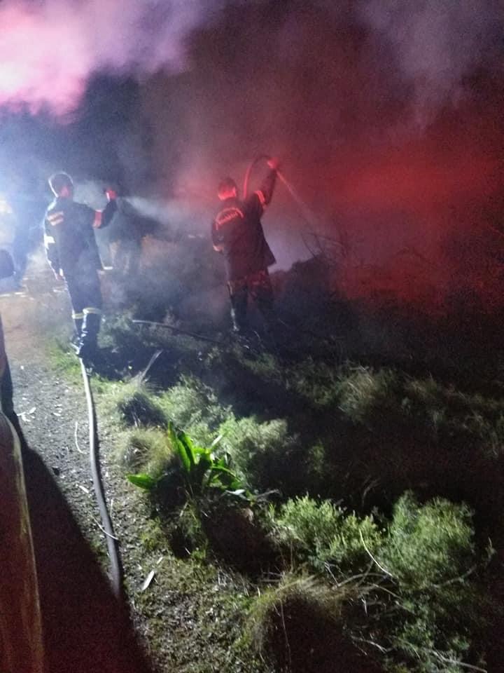 Εύβοια: Φωτιά στα Πλακάκια Ερέτριας [εικόνες]