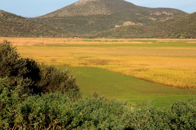 Τι είπε ο Φάνης Σπανός για την αξιοποίηση της Λίμνης του Δύστου