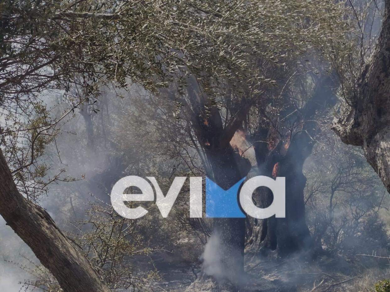 Εύβοια: Φωτιά στον Αγ. Αθανάσιο του Δήμου Διρφύων Μεσσαπίων [εικόνες]