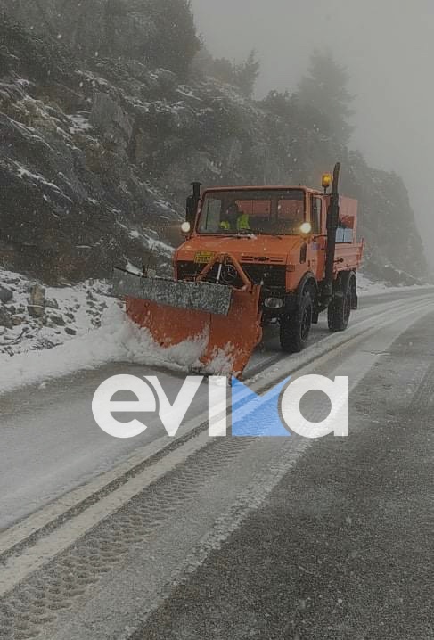 Καιρός: Στα «λευκά» η Εύβοια – Εικόνες και βίντεο από τη Ράχη του Δήμου Διρφύων Μεσσαπίων