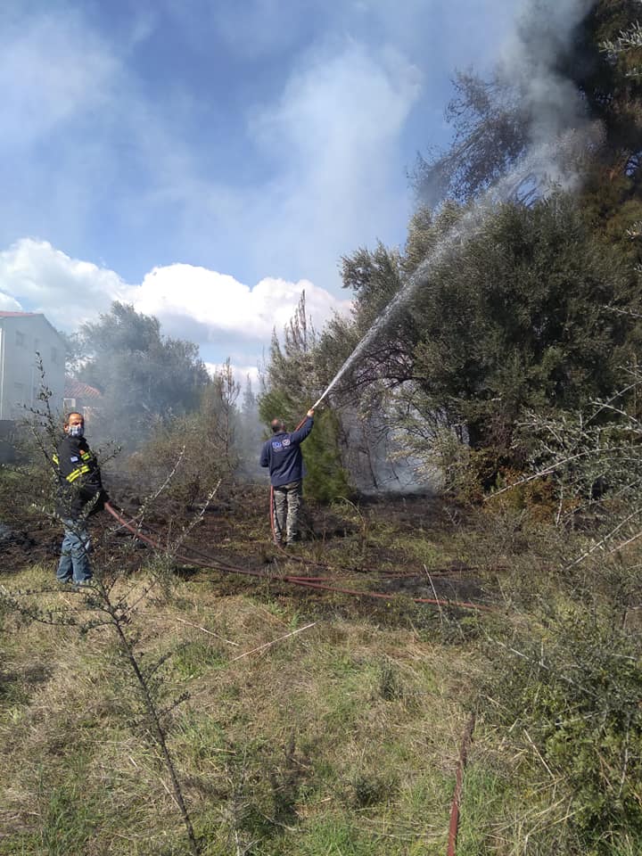 Εύβοια: Φωτιά στη Μαγούλα Ερέτριας – Πολίτης πήγε να κάψει κλαριά [εικόνες]