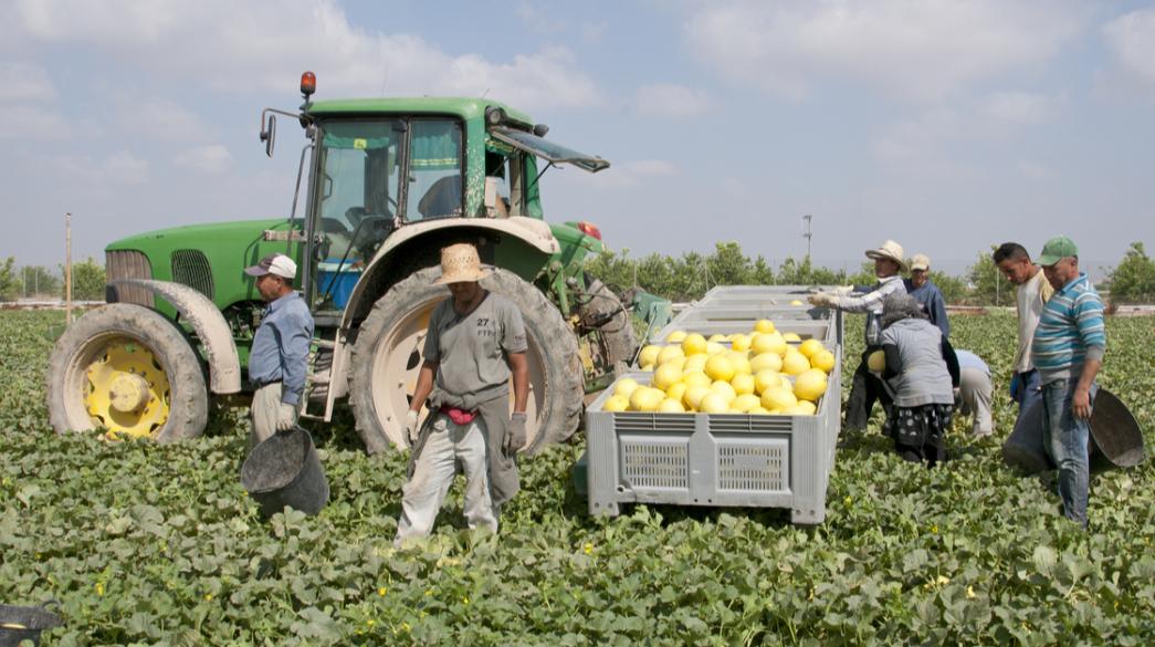ΟΠΕΚΕΠΕ: Πληρωμές ενισχύσεων ύψους 246,3 εκατ. ευρώ – Οι δικαιούχοι αγρότες και τα ποσά