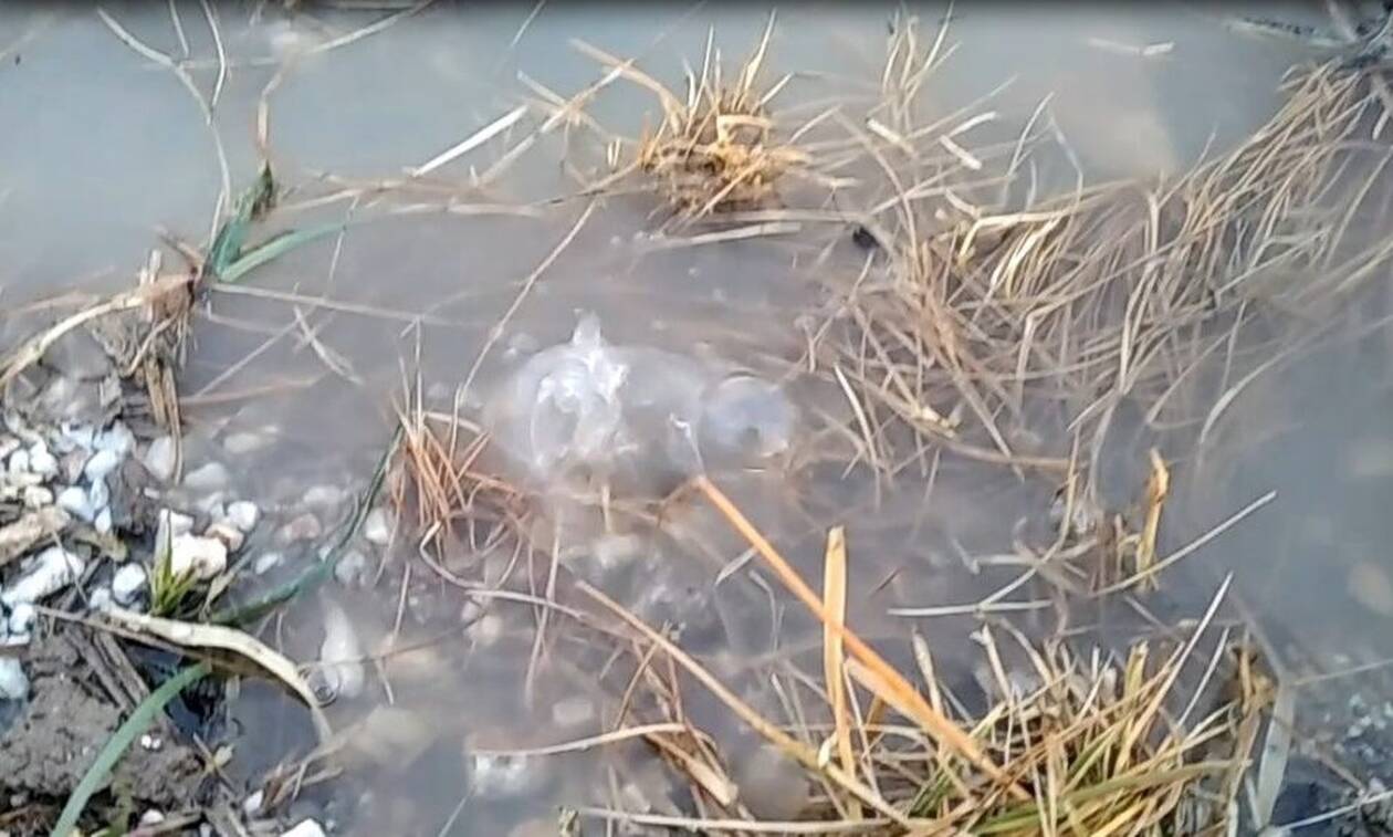 Μυστήριο φαινόμενο σε ποτάμια – Το νερό άρχισε να… βράζει – Δείτε το βίντεο
