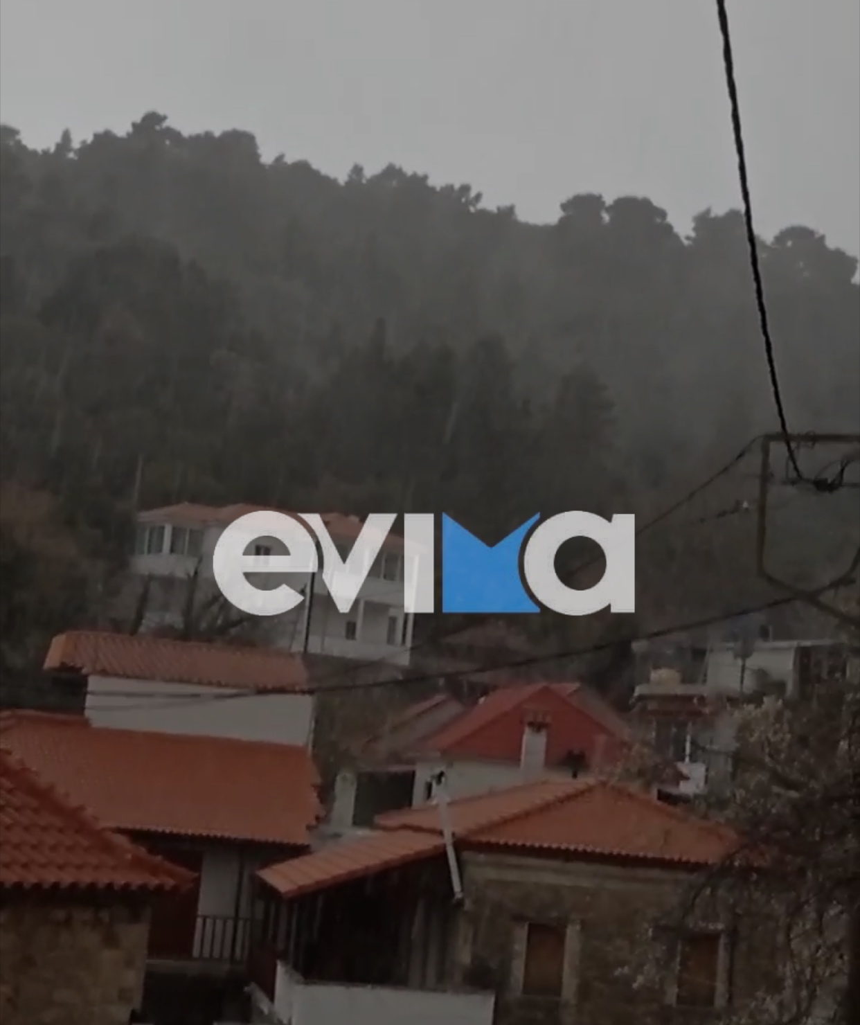 Ο καιρός τρελάθηκε! Χιονίζει στη Σέττα Ευβοίας – Τι είπε η πρόεδρος της Κοινότητας στο evima.gr [βίντεο]