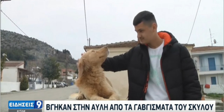 Τρίκαλα: Αυτός είναι ο σκύλος που έσωσε οικογένεια από τον σεισμό