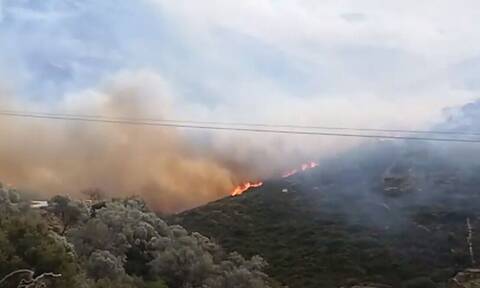 Απίστευτη αποκάλυψη για την Άνδρο: «Θα βάλω φωτιά», έλεγε πρόεδρος κοινότητας