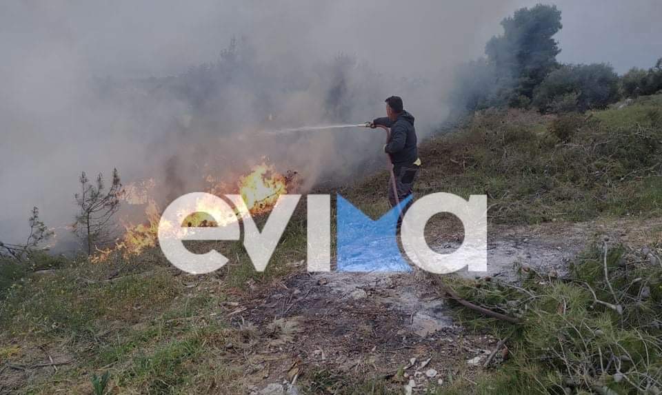 Εύβοια: Φωτιά στον Άγιο Παύλο Ερέτριας [εικόνες & βίντεο]