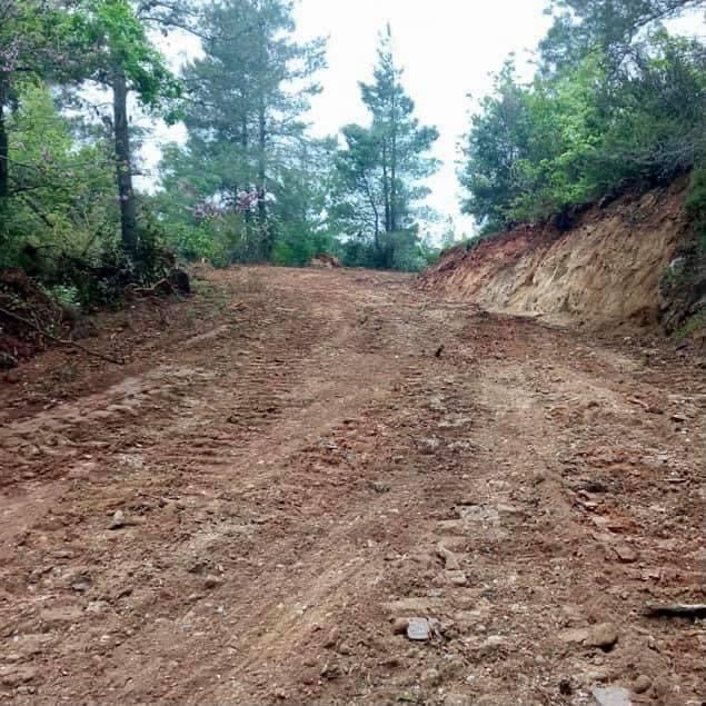 Κοντζιάς: Ξεκίνησε η αποκατάσταση των δασικών δρόμων σε Ιστιαία και Αρτεμίσιο [εικόνες]
