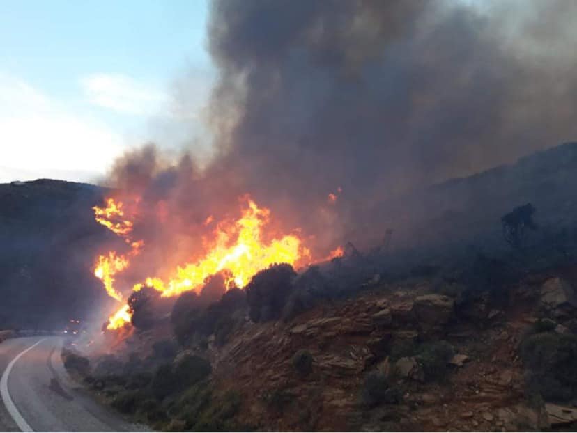 Μεγάλη φωτιά στην Άνδρο: Με εντολή Χαρδαλιά κλιμάκιο της ΔΑΕΕ στο νησί – Ενισχύονται οι πυροσβεστικές δυνάμεις  [εικόνες]
