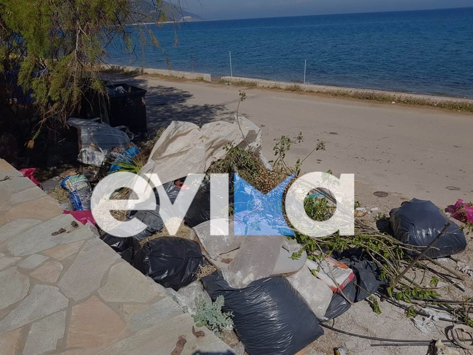 Εύβοια: Τι συμβαίνει και γκρινιάζει για την καθαριότητα ο πρόεδρος της Αθνηδόνας – Εικόνες και βίντεο