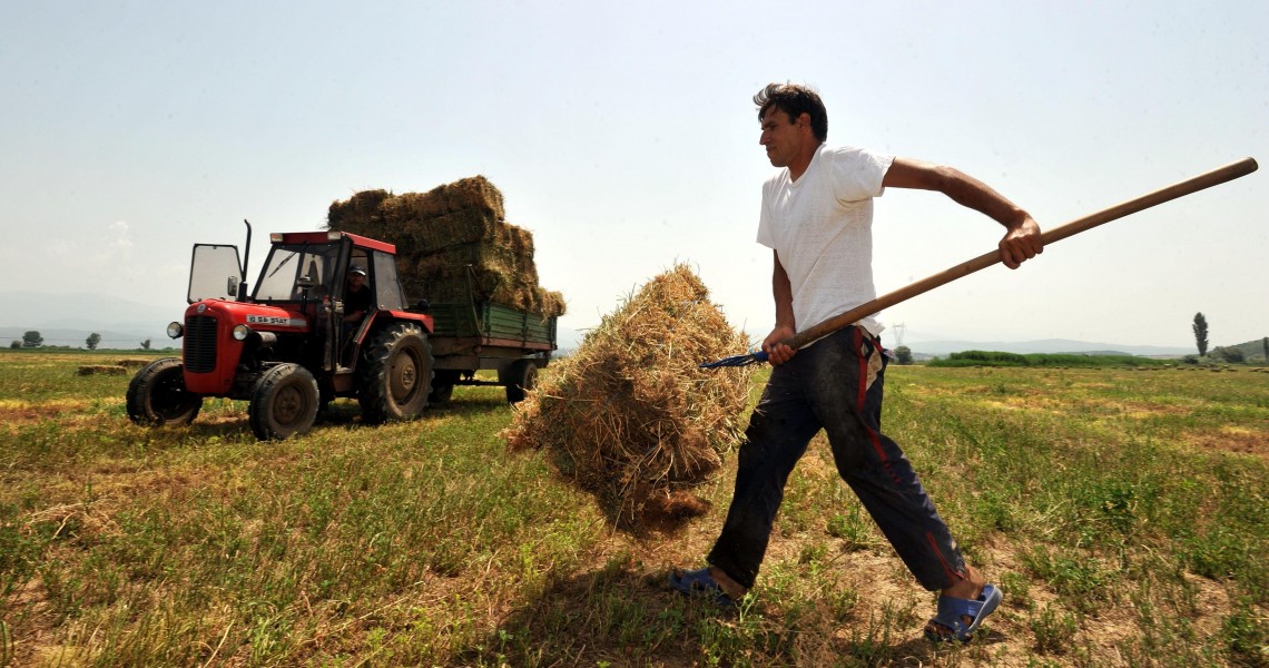 Απάτη με τις αγροτικές ενισχύσεις: Τι πρέπει να προσέχουν οι δικαιούχοι – Οι οδηγίες του ΟΠΕΚΕΠΕ