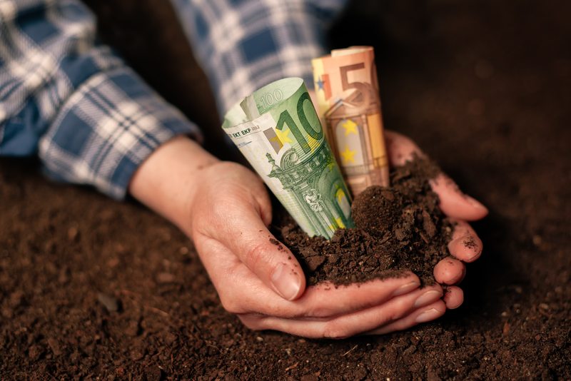 Αγροτικές επιδοτήσεις -ΟΣΔΕ 2021: Ποιοι & πώς παίρνουν χρήματα
