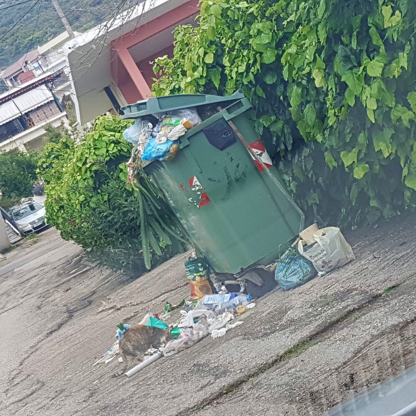 Πρόεδρος Ανθηδόνας: Επιμένω οτι υπάρχει σοβαρό πρόβλημα στην διαχείριση του τομέα καθαριότητας του Δ. Χαλκιδέων