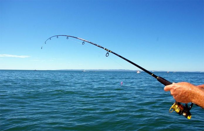 Εύβοια: Εντοπίστηκε αλλοδαπός για παράνομη αλιεία από το Κ.Λ. Χαλκίδας