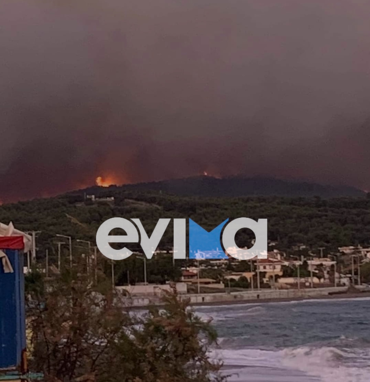 Χαρδαλιάς: Από καύση υλικών σε ελαιώνα ξεκίνησε η φωτιά στον Σχίνο – Περιμένουμε δύσκολο βράδυ