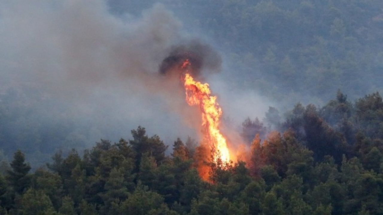 Δύο φωτιές στη Στερεά Ελλάδα – Σε Τραγάνα και Ροβολιάρι Μακρακώμης