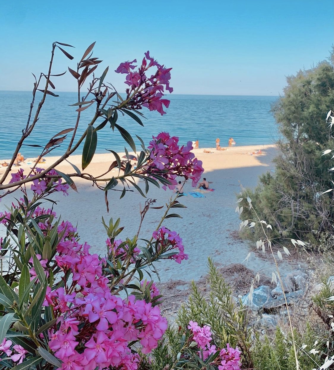 Καιρός: Έρχεται ξανά ζέστη και εισβολή σκόνης