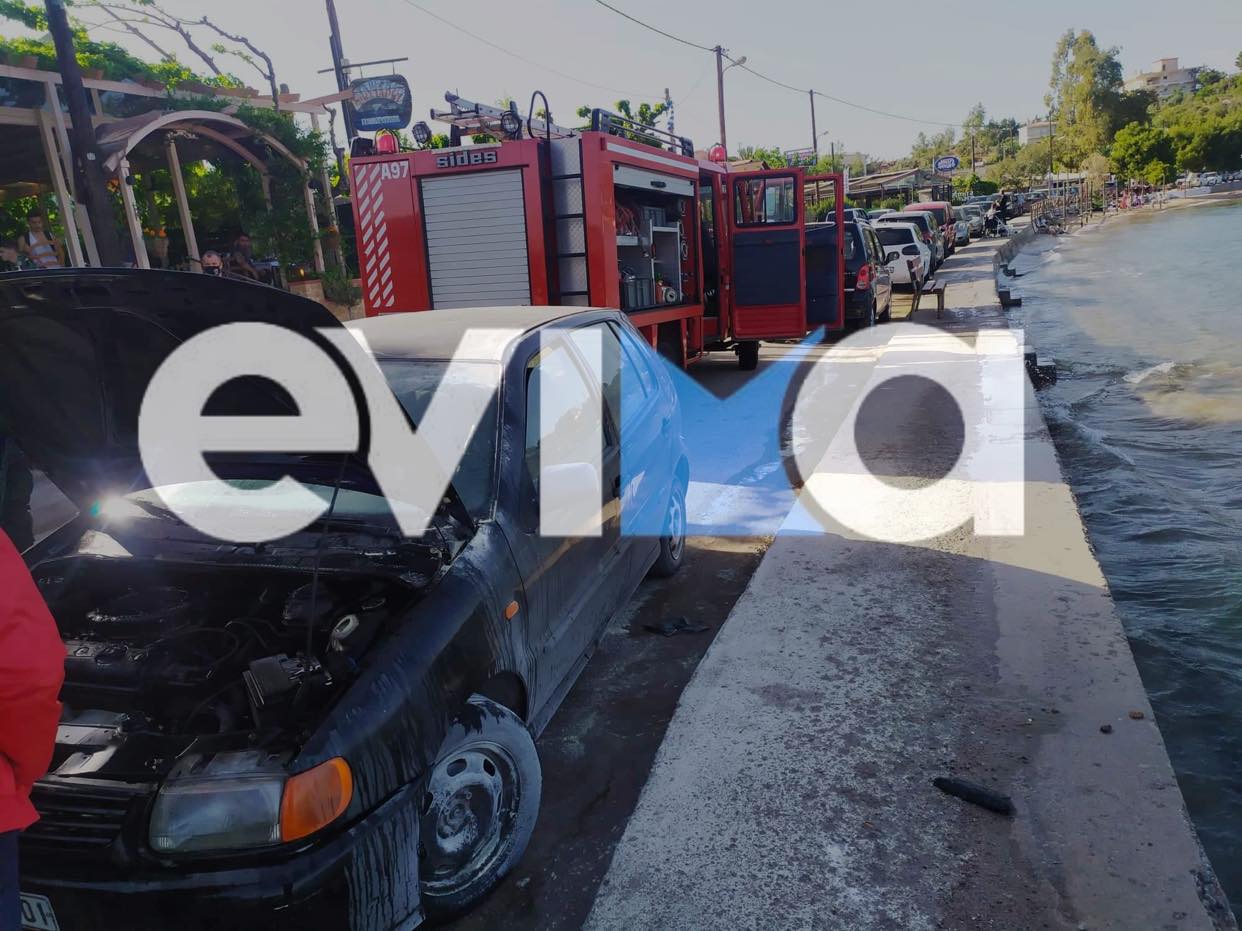 Εύβοια: Φωτιά σε ΙΧ αυτοκίνητο στον Άγιο Μηνά – Στο σημείο άμεσα η Πυροσβεστική [ Εικόνες]