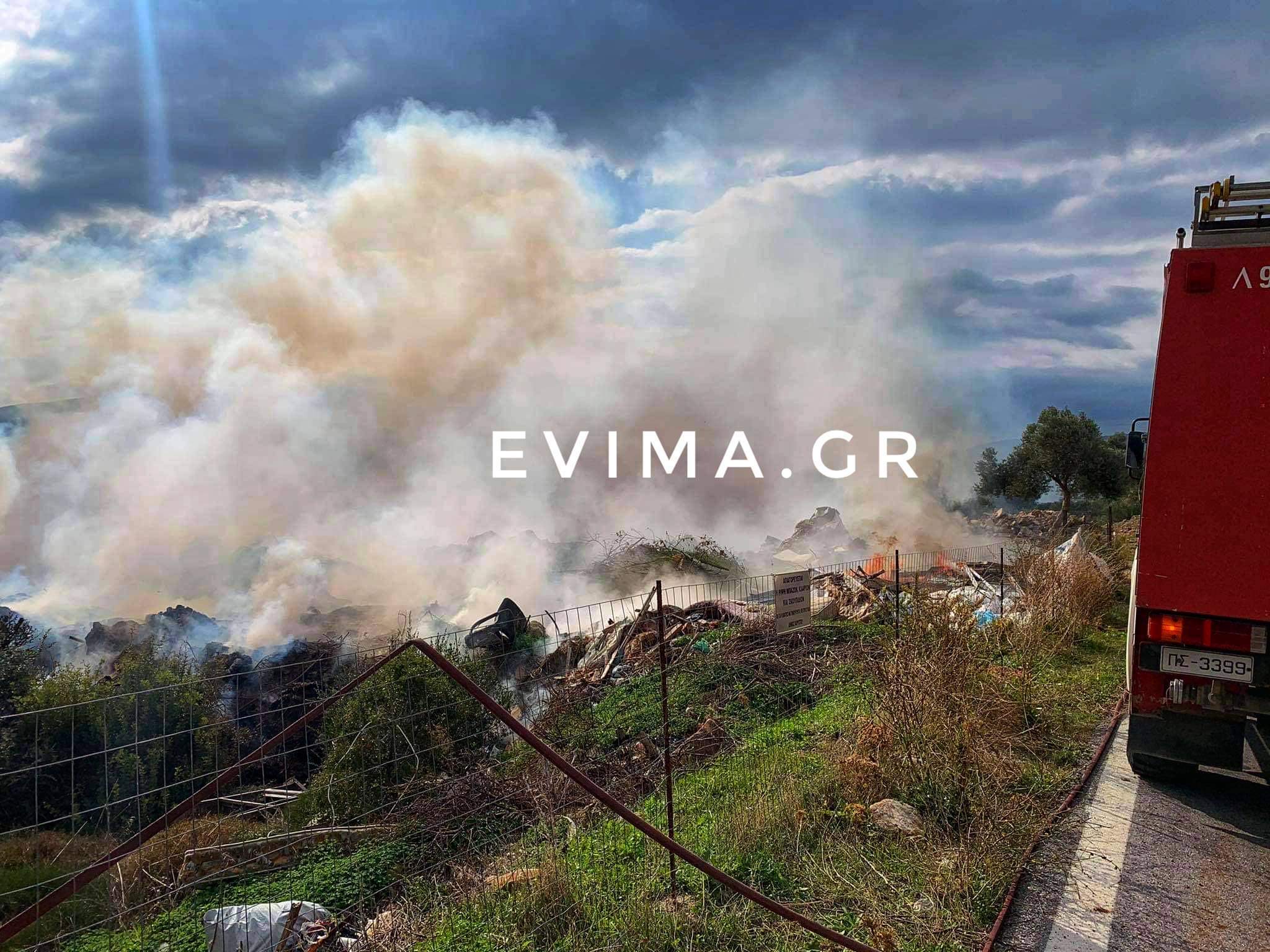 Εύβοια: Φωτιά κοντά σε σπίτια στο Μύτικα Βασιλικού