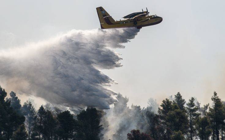 Φωτιά ΤΩΡΑ: Μεγάλη πυρκαγιά στην Πάρο – Σπεύδουν αεροπλάνα