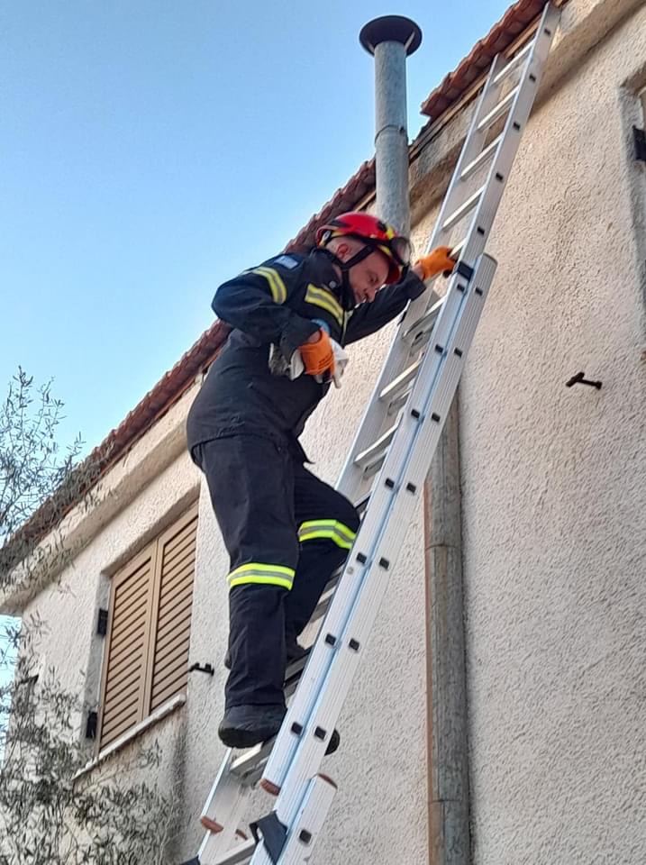 Εύβοια – Ερέτρια: Το Ε. Σ. Δ. Δ. Ε. έσωσε γατάκι από τη σκεπή διώροφης κατοικίας [εικόνες]