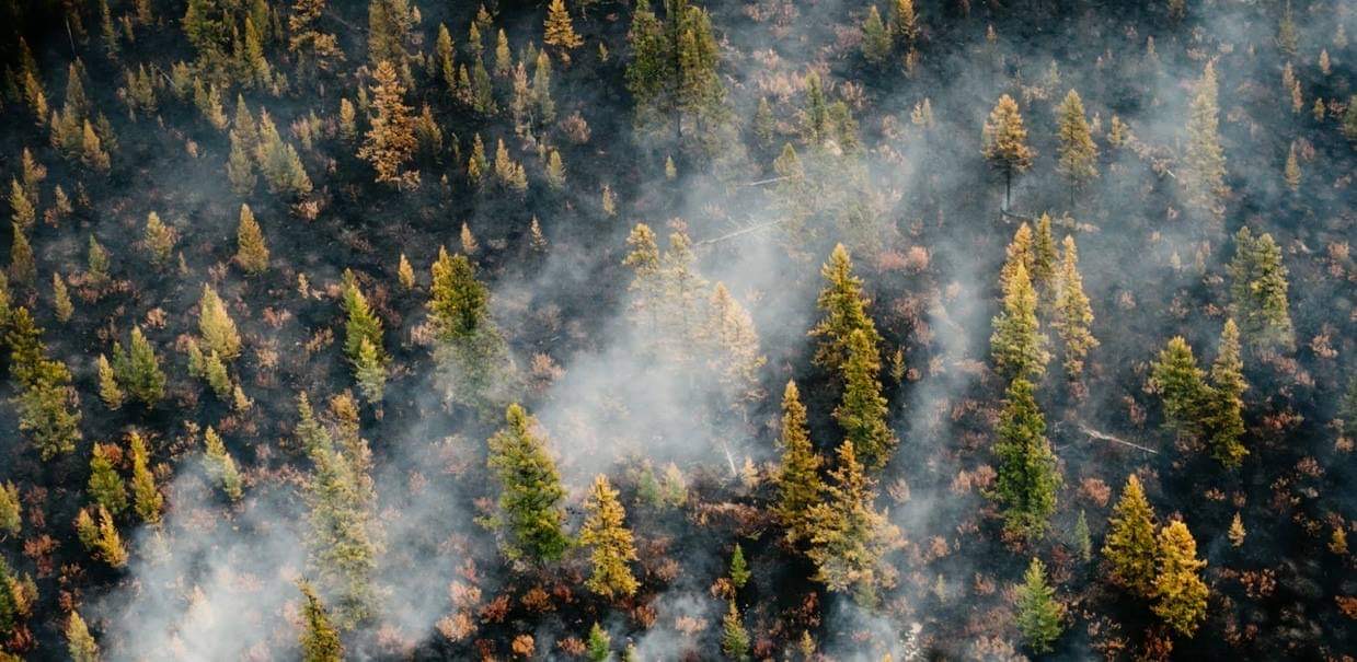 «Φλέγεται» ο πλανήτης: Έφτασε 49,5°C στον Καναδά, 48°C στη Σιβηρία -Καμπανάκι για κλιματική αλλαγή