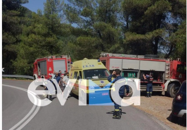 Σε επιφυλακή οι εθελοντές του  Προκοπίου για κίνδυνο πυρκαγιάς σήμερα στην Εύβοια