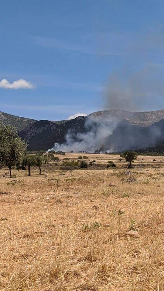 Φωτιά σε δασική έκταση στα Μέγαρα Αττικής