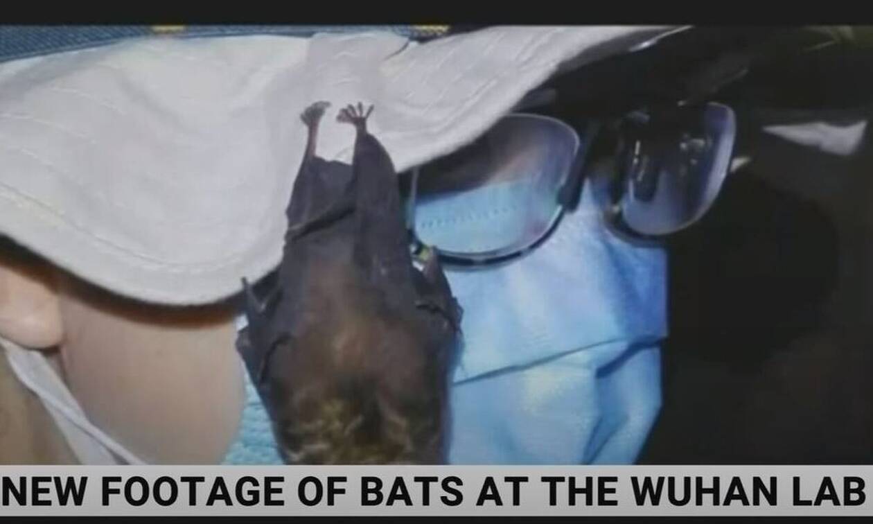 Βίντεο – αποκάλυψη του Sky News: Ζωντανές νυχτερίδες μέσα στο εργαστήριο της Γουχάν