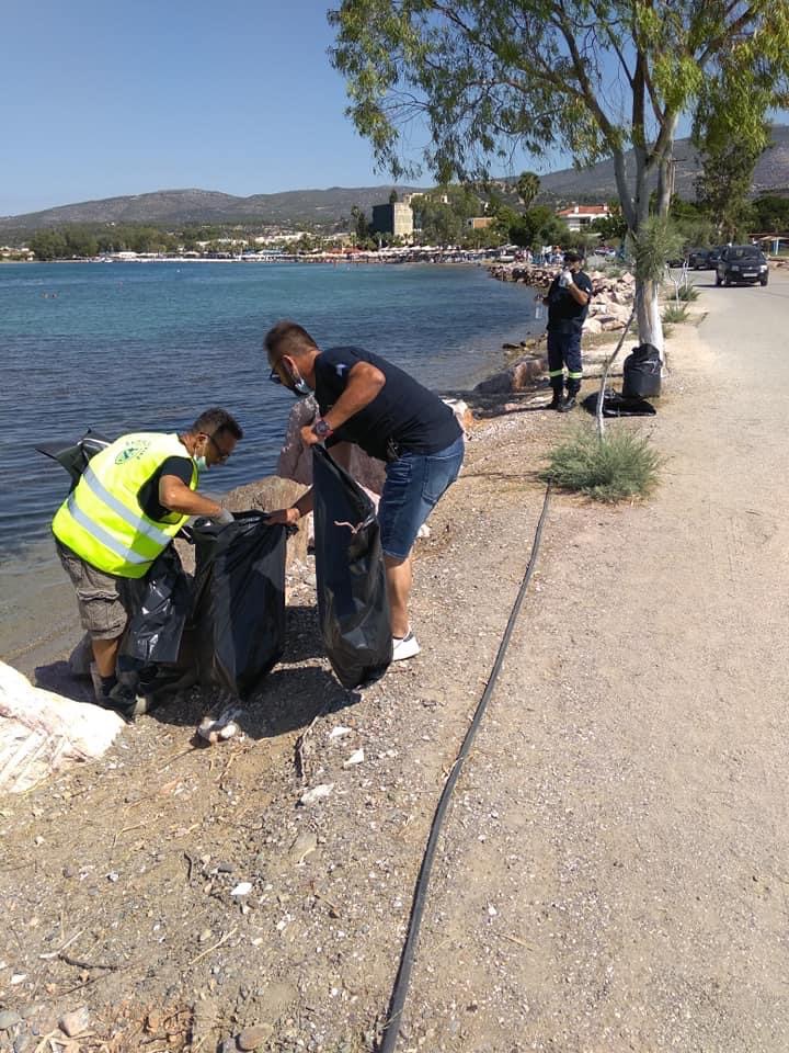 Εύβοια Τώρα: Καθαρισμός στην παραλία της Ερέτριας – Δράση της ΠΣτΕ  και του Όλοι Μαζί μπορούμε [εικόνες]