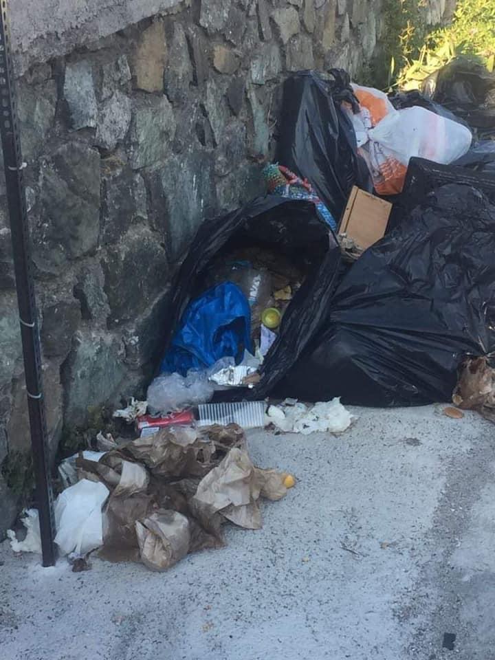 Εύβοια – Λίμνη: Έξαλλος αντιδήμαρχος – Απαράδεκτοι όσοι πετούν τα σκουπίδια έξω από τους κάδους